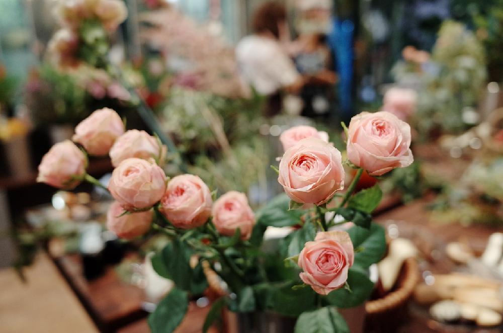 Rosnąca popularność flowerboxów